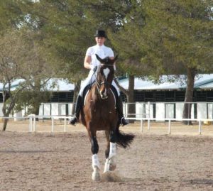 dressage arena footing