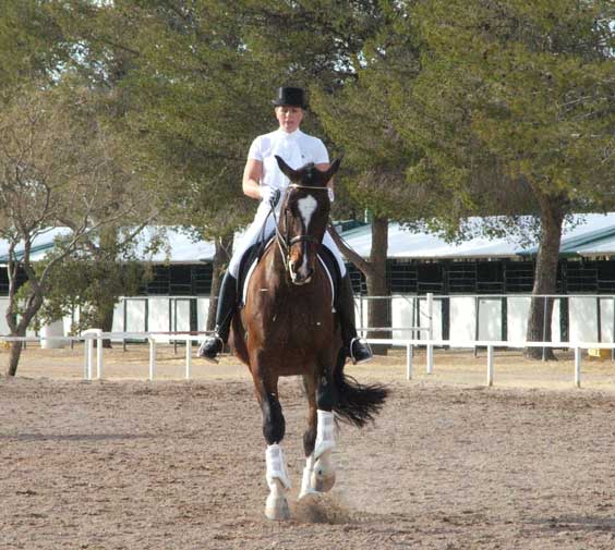 dressage arena footing