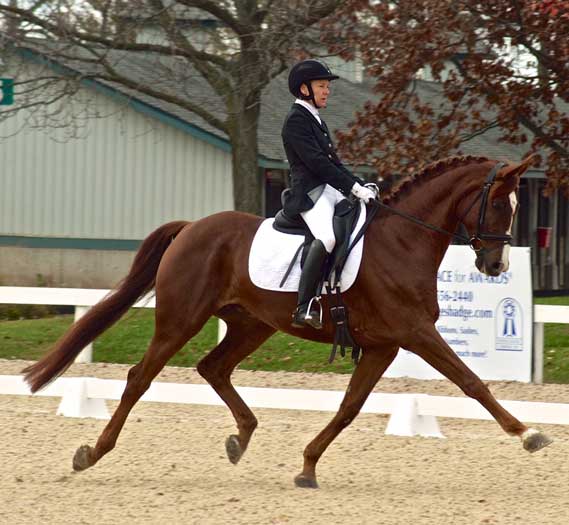 dressage arena footing